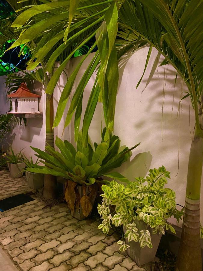 Guesthouse Bodensee Hikkaduwa Eksteriør billede